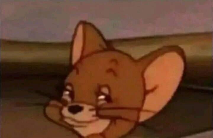 Puppy Edan 🐶 photo