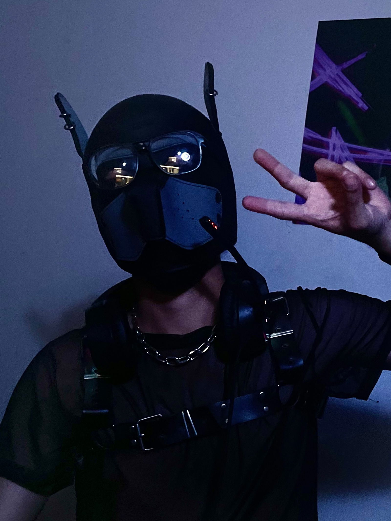 Puppy Edan 🐶 photo