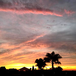 SweetLupeโค๏ธโ๐ฅ photo