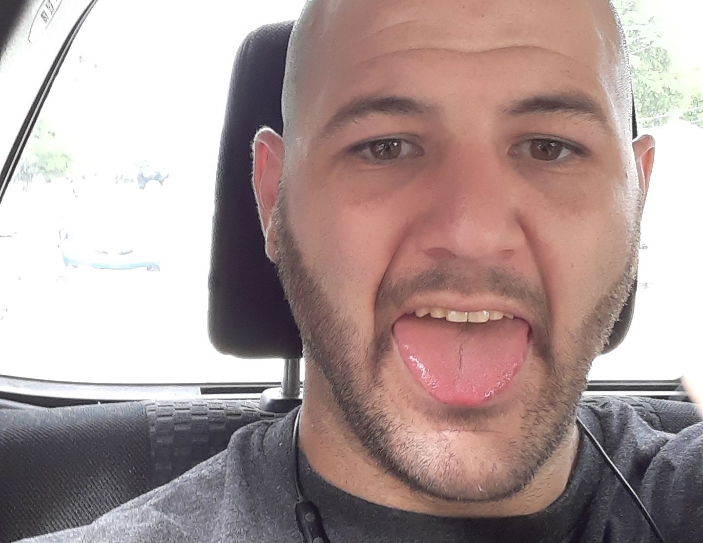 Andrew Nicholson photo