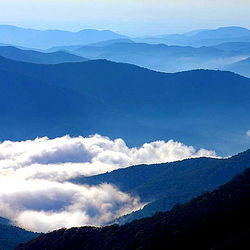 🏴CALEB🗡DAVIS🏴 photo