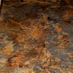 alexia jasmime photo