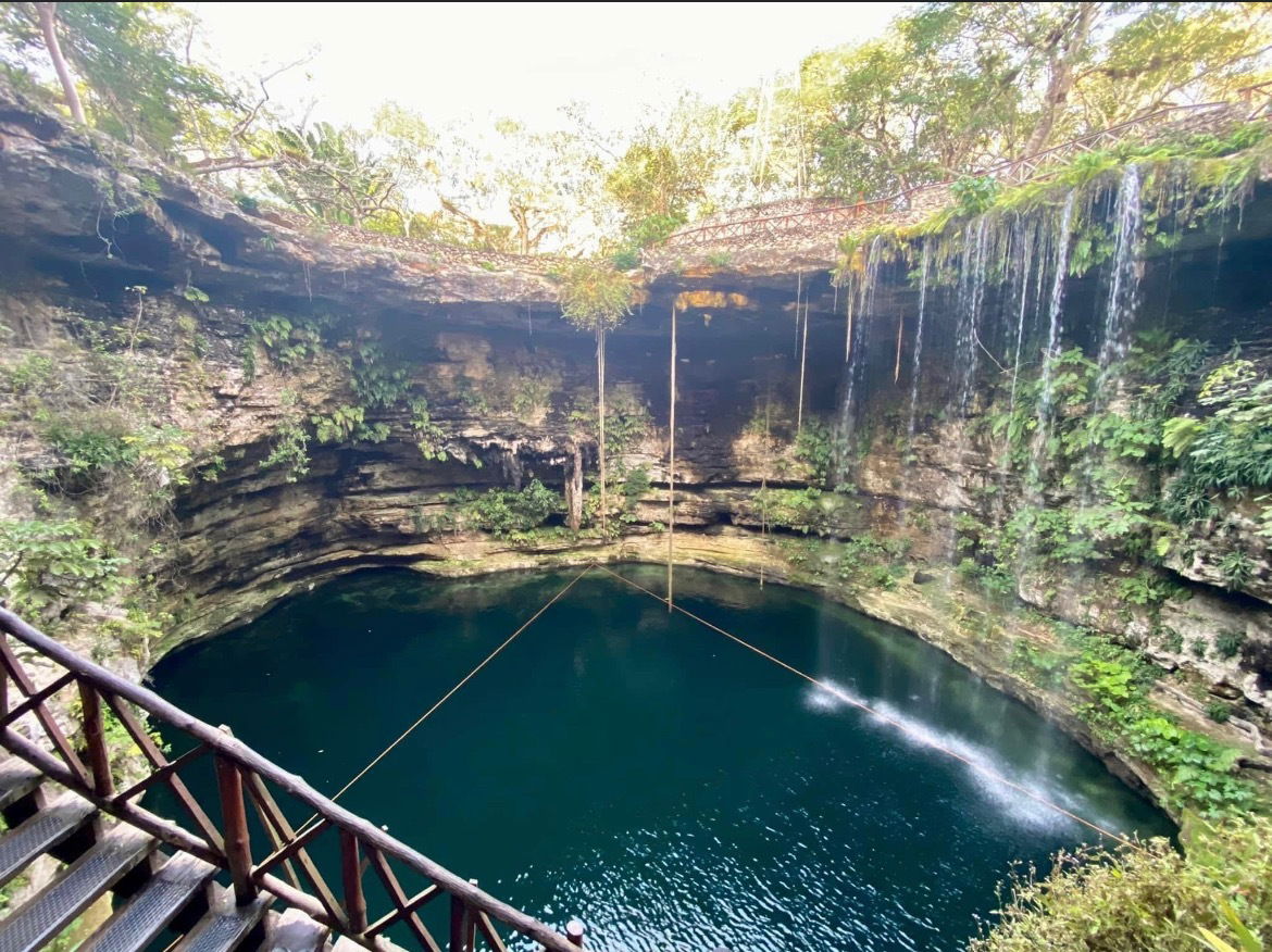 Vivienne Blaise photo