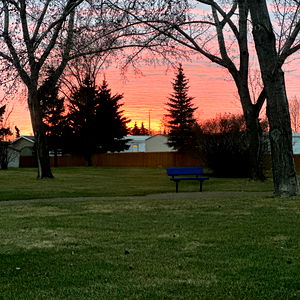 Baylee rose free ๐๐ photo