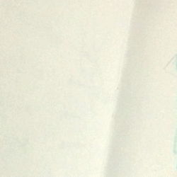 ๐๐ซ๐ค๐ข๐ฉ ๐๐ข๐ฉ โ๐ข๐ถ photo