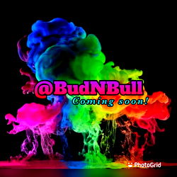 Bud N Bullshit ¡ Unfiltered ! photo