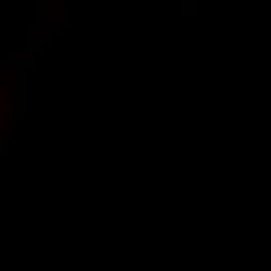 Lust & Loyalty photo