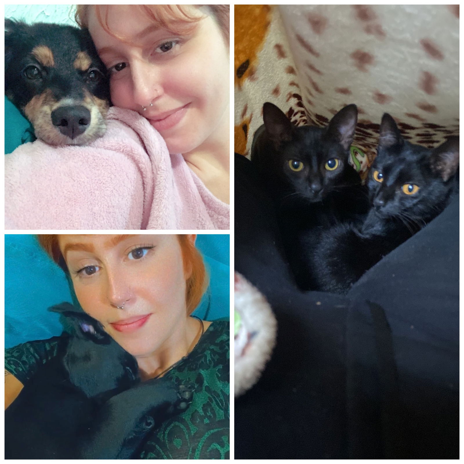 Ana Caroline Black Fracalanza Muzy photo