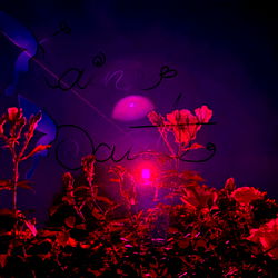 ๐ฆKaine๐ฆ photo