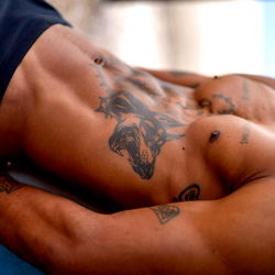 Camel 🇧🇷 photo