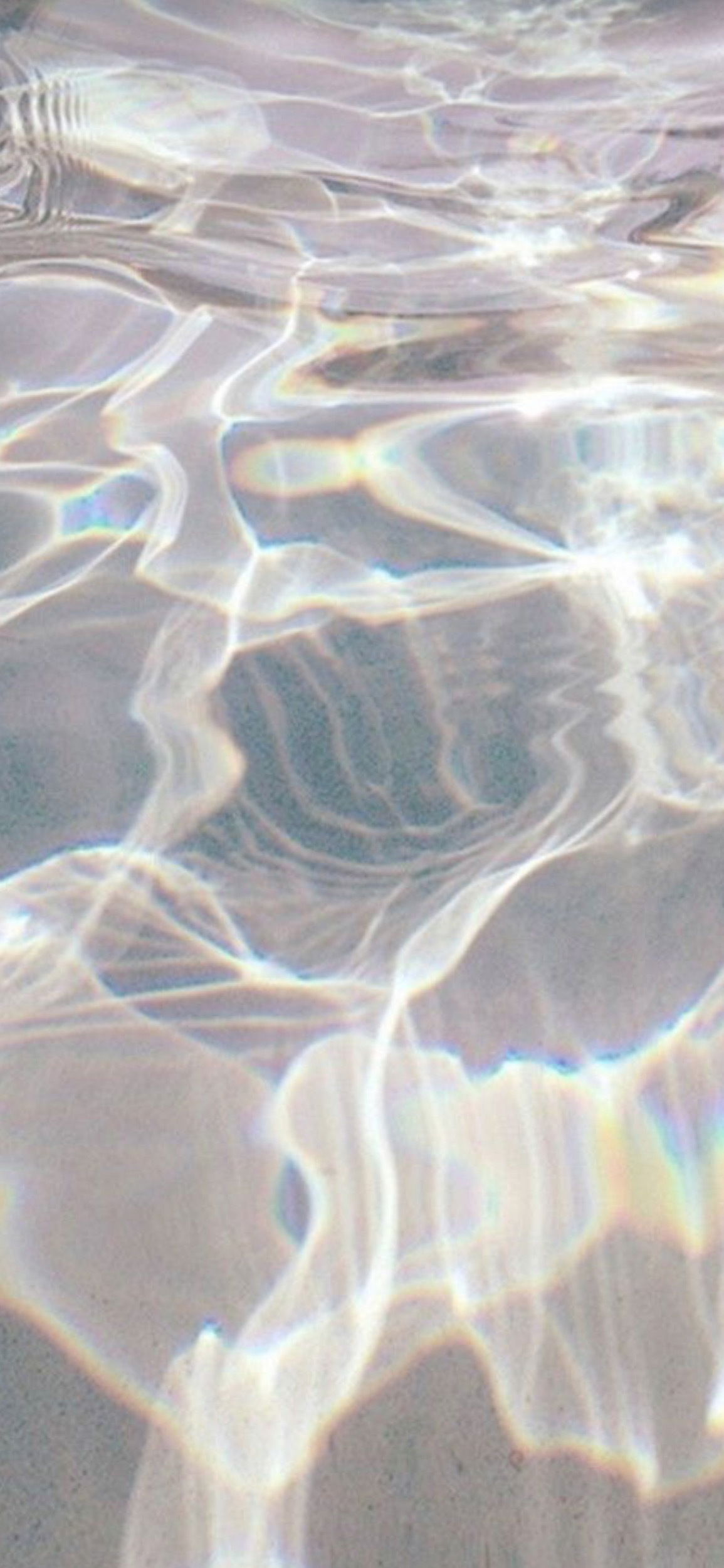 Anastasia 🦋 photo