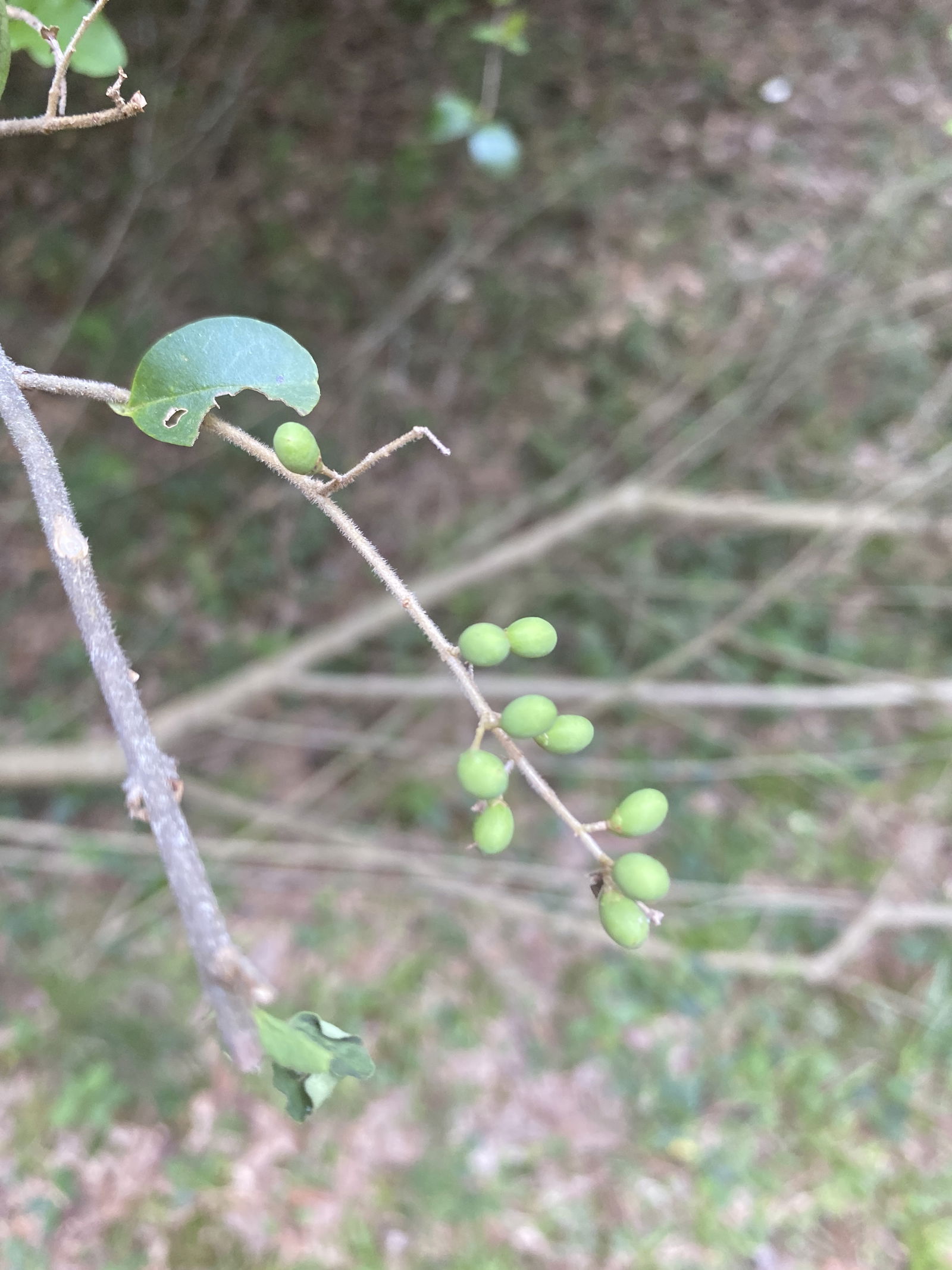 Just A normal dude photo