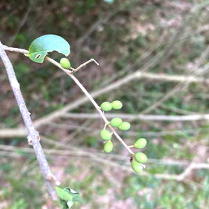 Just A normal dude photo