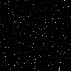 Alice Sunshine photo