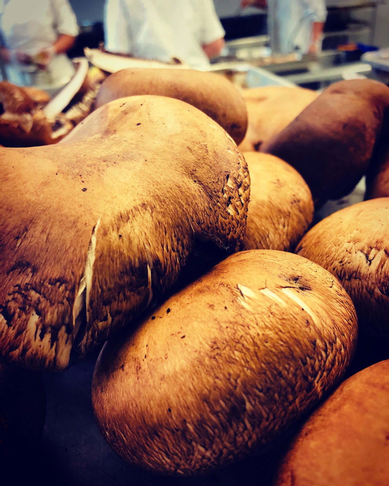 franlis torres photo