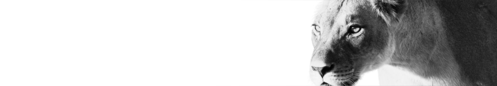 IFBB PRO Natalie. photo