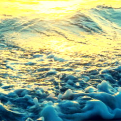 IFBB PRO Natalie. photo