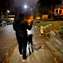 A person walking their dog at night