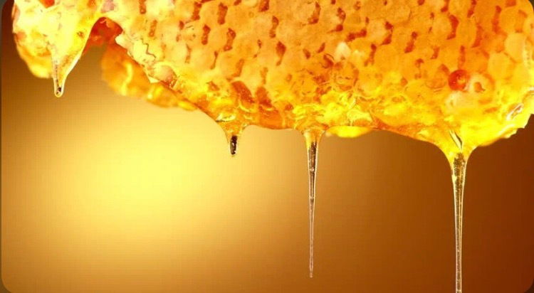 🐝🍯Honey Bunz🐝🍯 photo