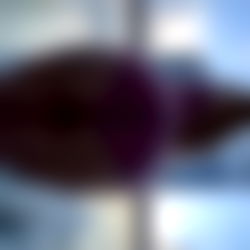 whole lotta ass๐ช photo