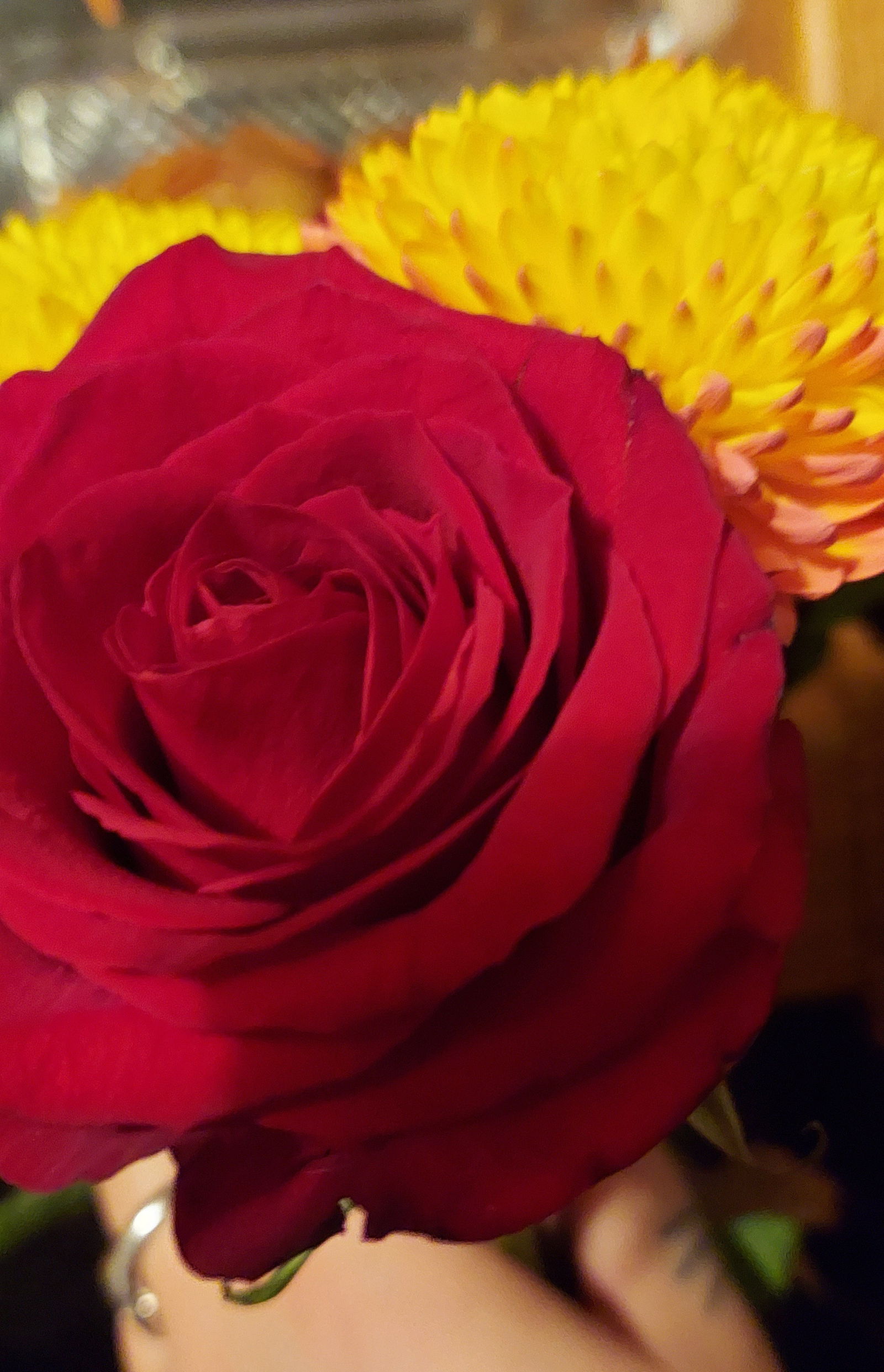 Alex_graydreamer photo