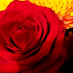 Alex_graydreamer photo