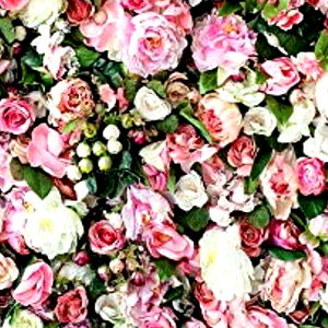 analisa faithly photo