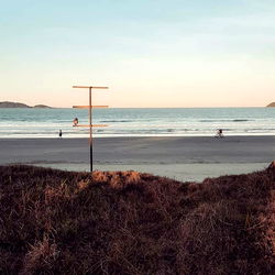 Angélica Morango photo