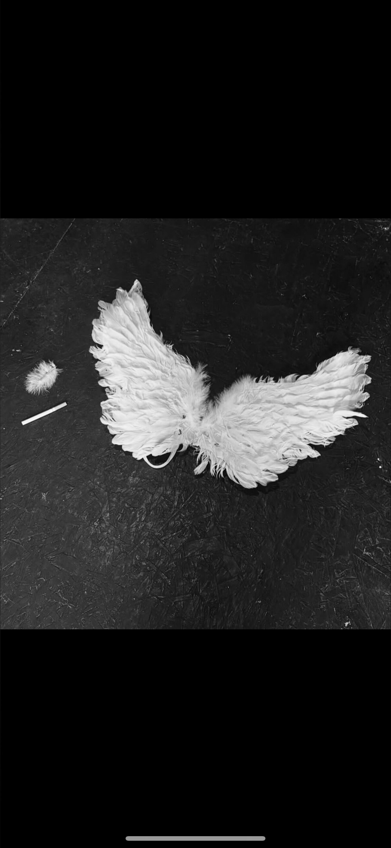 Brittany Furlan Lee photo