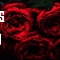 Goddess Arcana photo