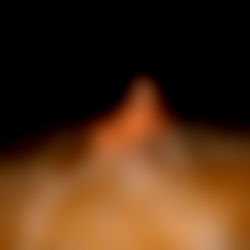 Daddyโs Wallet photo