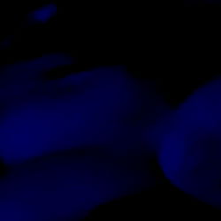 Vivi's Exotic Night Scene