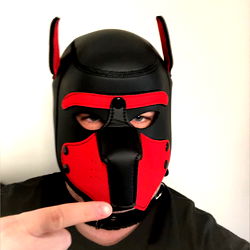 Fashionable Dog Mask in a Playful Context