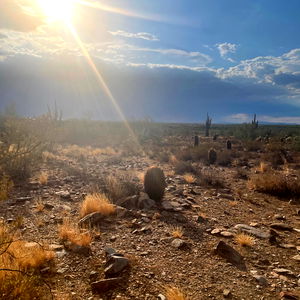 Zoie {Sex, Masturbation} photo