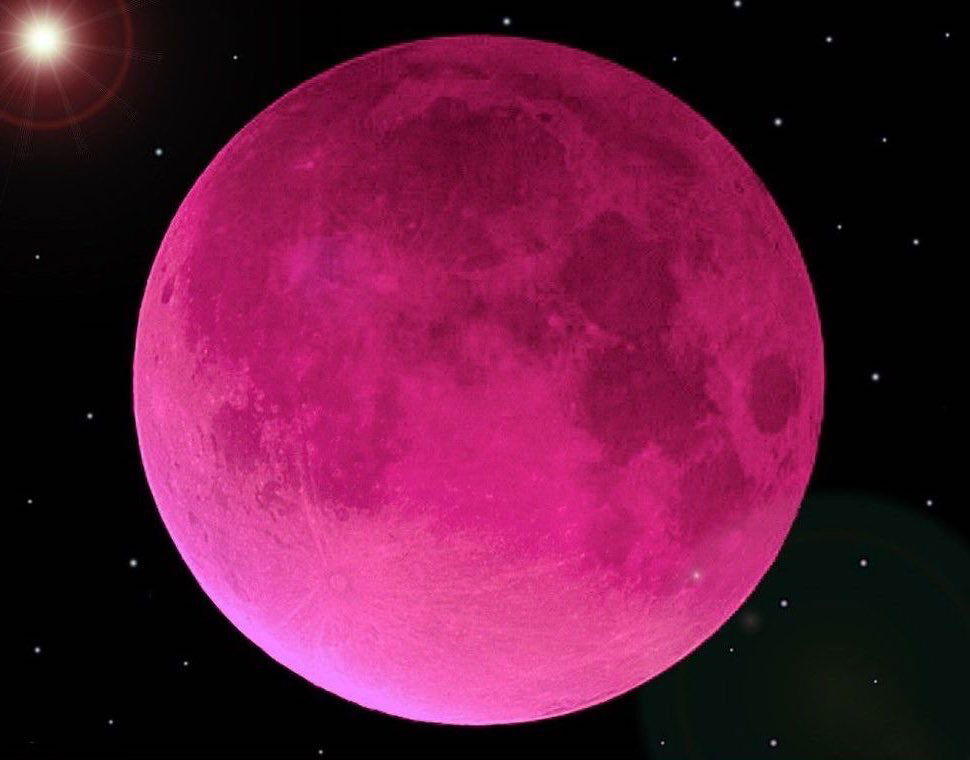 nevaeh ૮꒰ ˶• ༝ •˶꒱ა ♡ photo