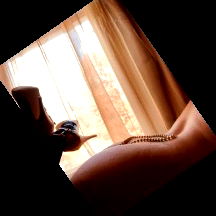 DiamondUnicorn4Everyone photo