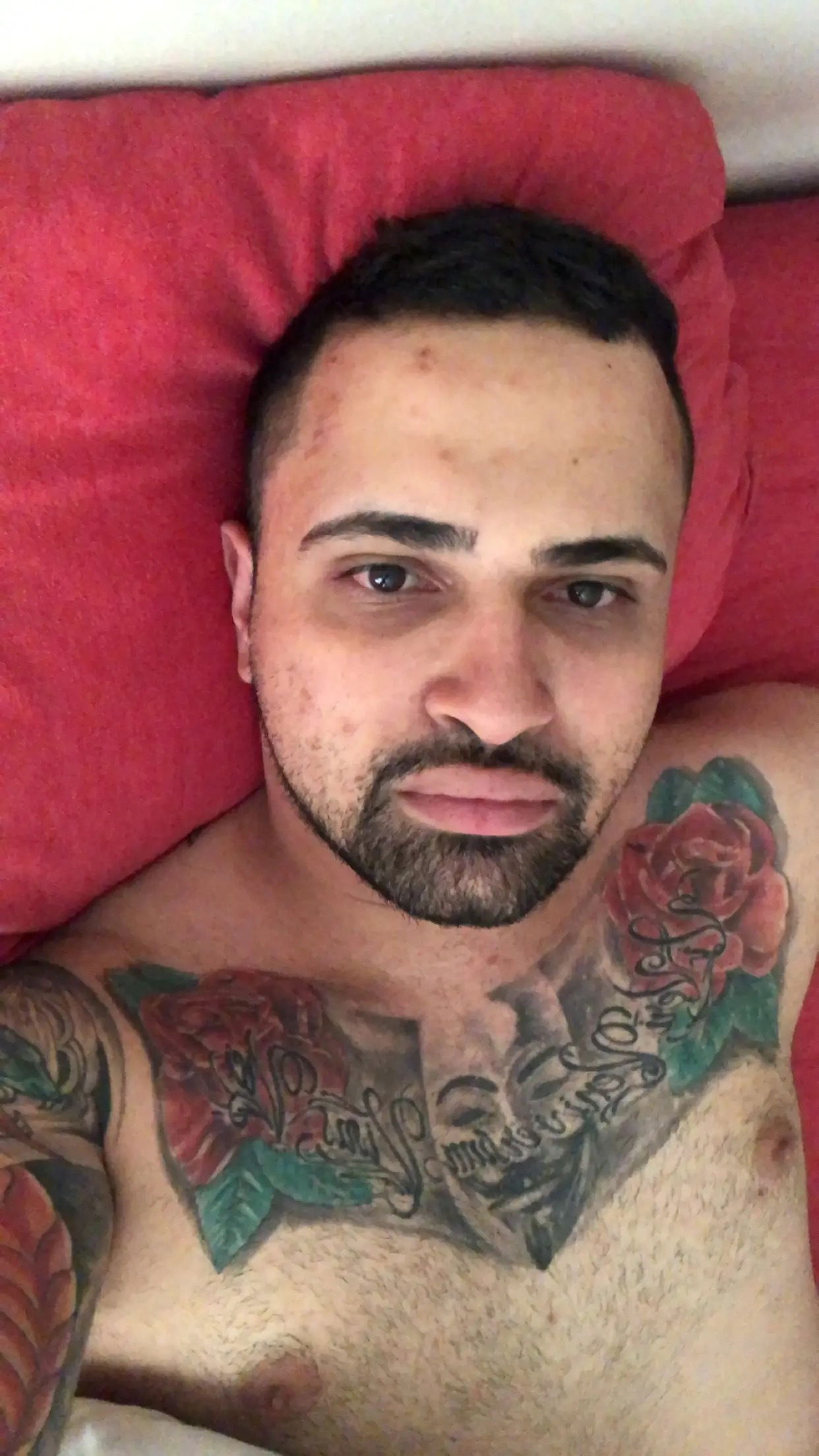 Ricardo Pacheco Simoes photo