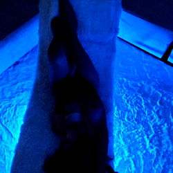 Pe🍑achhy, Lounge on a Bed with Blue Lighting