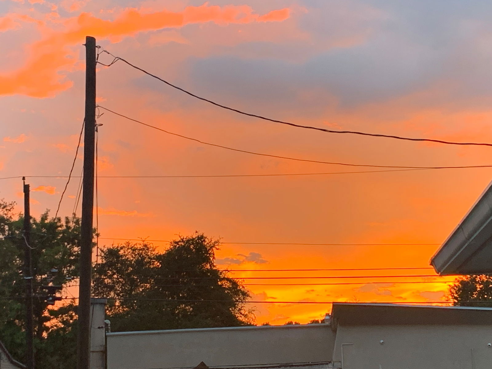 Goddess Liz 🦋 photo