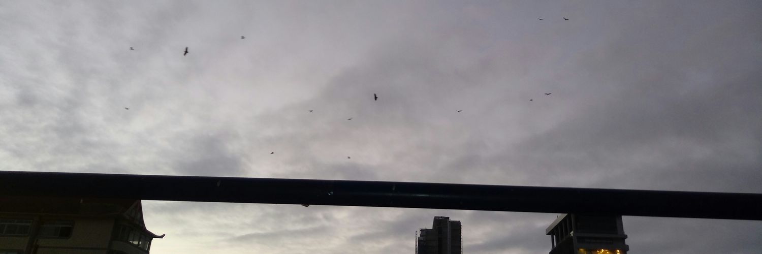 Manuel Vega Orellana photo