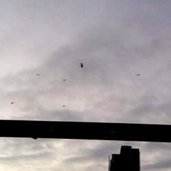 Aerial view of a city at dusk