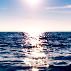 Red Rabbit 🔥 photo