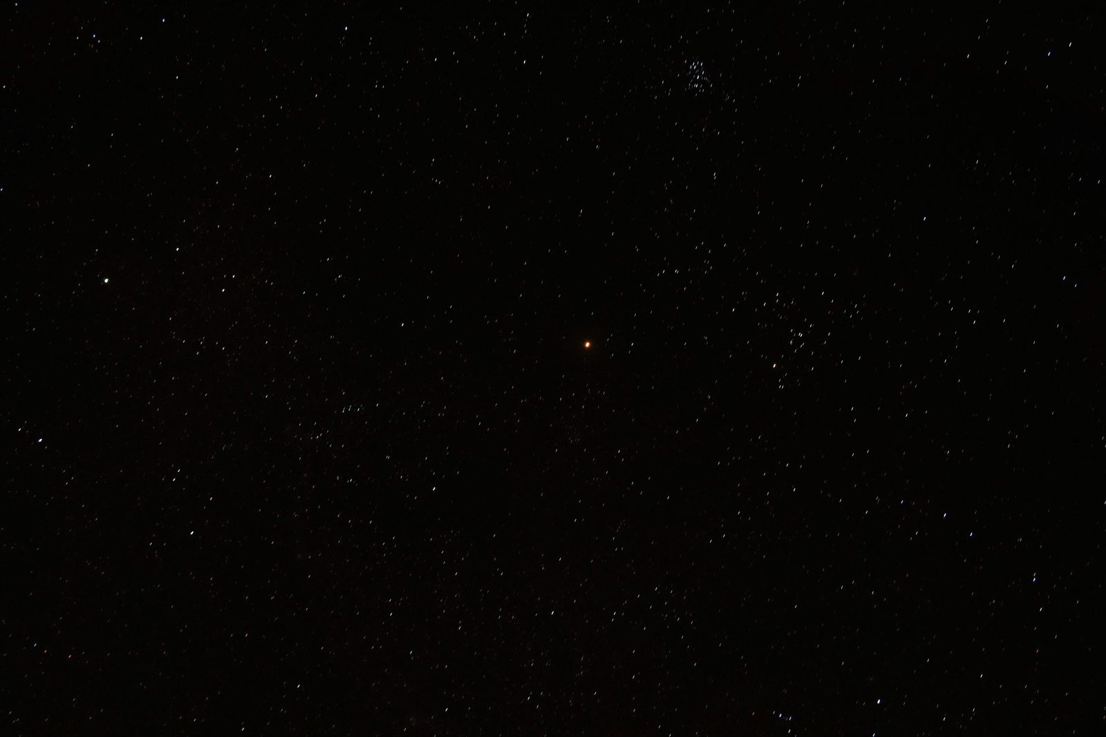 Dillon Anderson photo