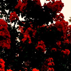 s t e (ri)p h 🌹 photo