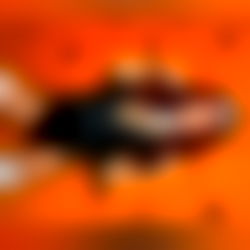 ๐บ๐๐๐๐ ๐ฏ๐๐๐ ๐ photo