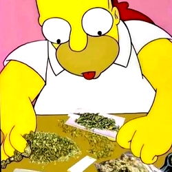 Homer Simpson with Marijuana