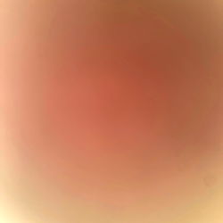 Vanilla Ice Cream Scoop