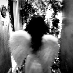 OnlyFans Model Angel in Germany, Showing Off Her Wings