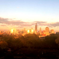 Panoramic View of Chicago Skyline from a High Vantage Point