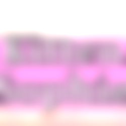 Kitten Sophie๐ฉท photo